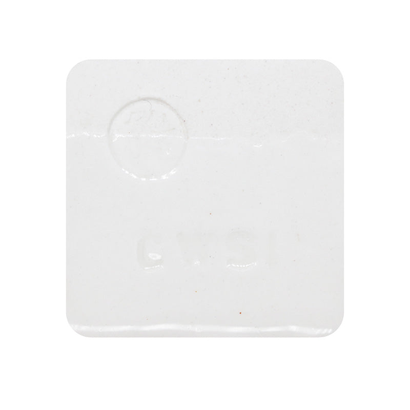 Clayworks - Southern Ice Porcelain Clay