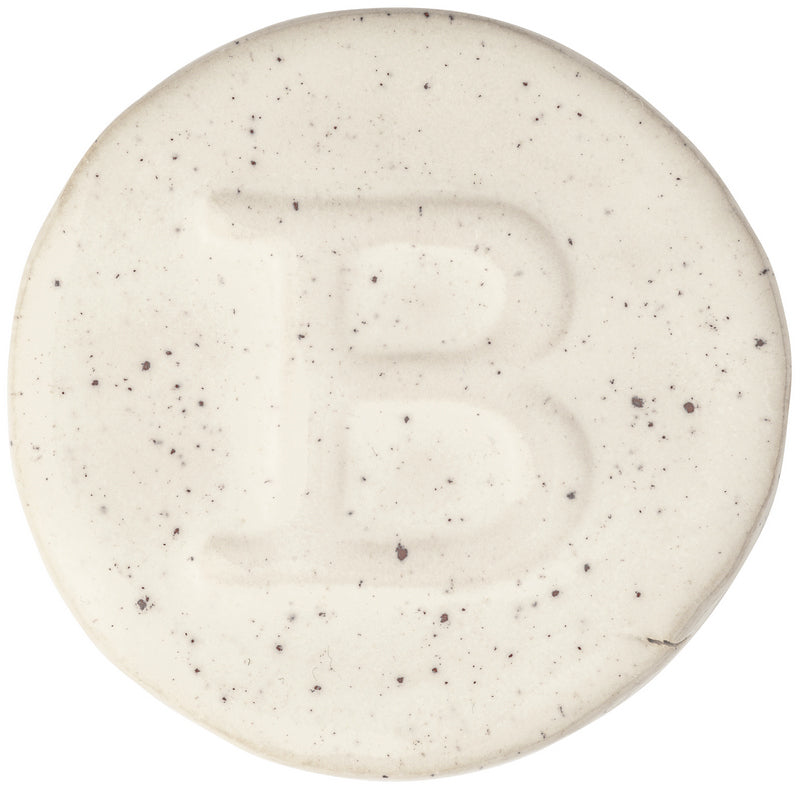BOTZ PRO 9313 Pyrite White - 白黃鐵礦 (200ml)