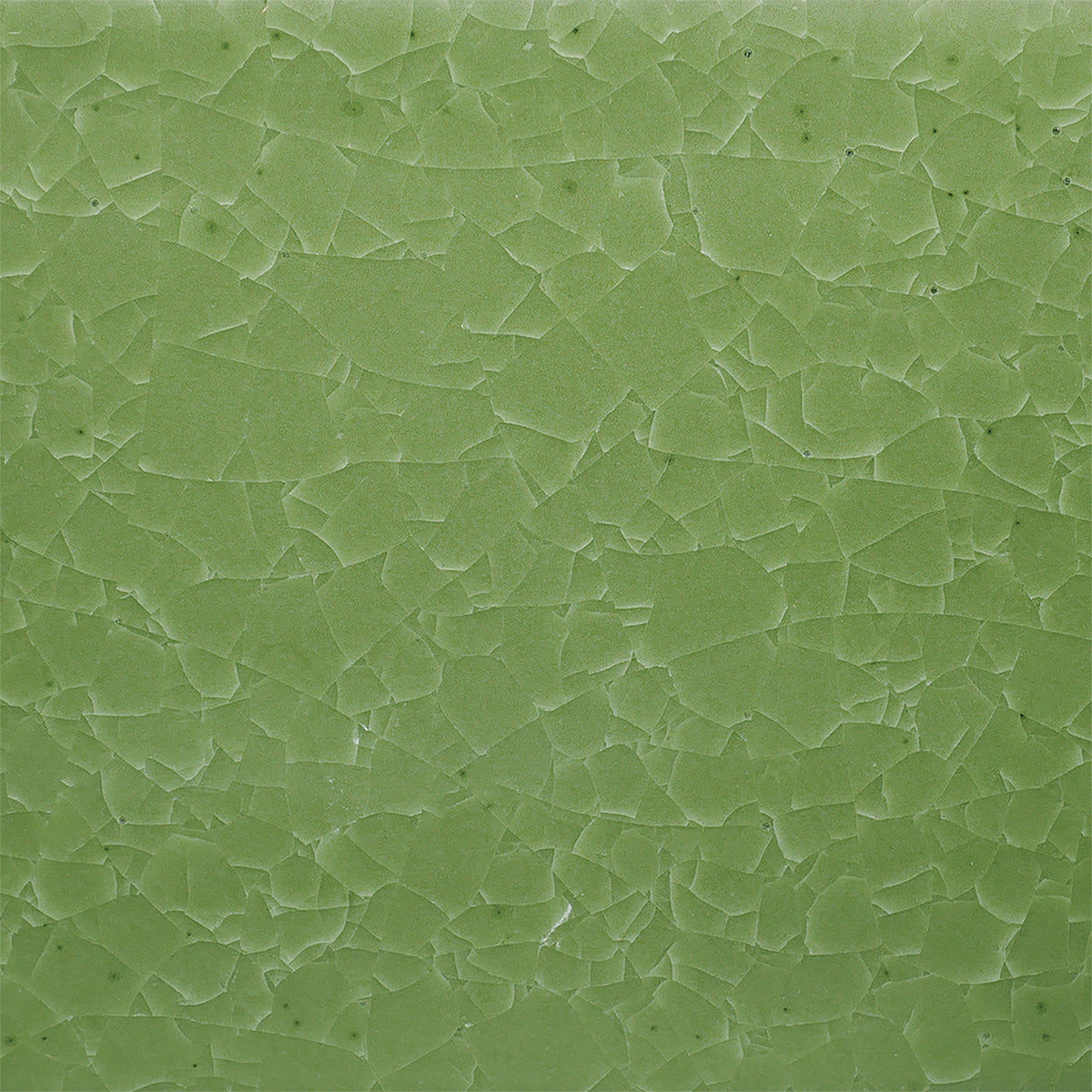 Amaco Kiln Ice - KI-46 Frozen Fern(16oz)