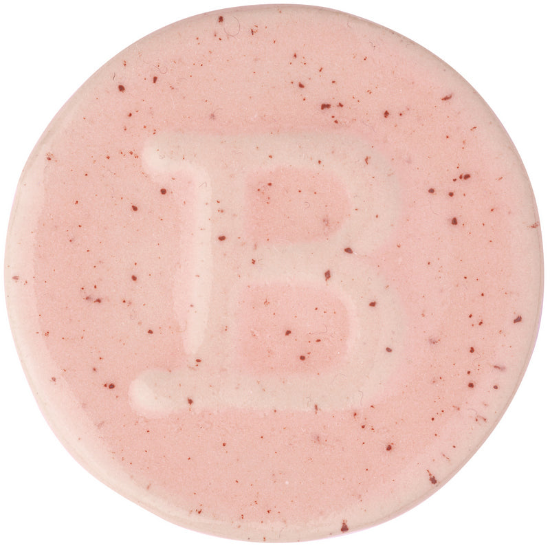 BOTZ PRO 9316 Morganite - 摩根石粉 (200ml)