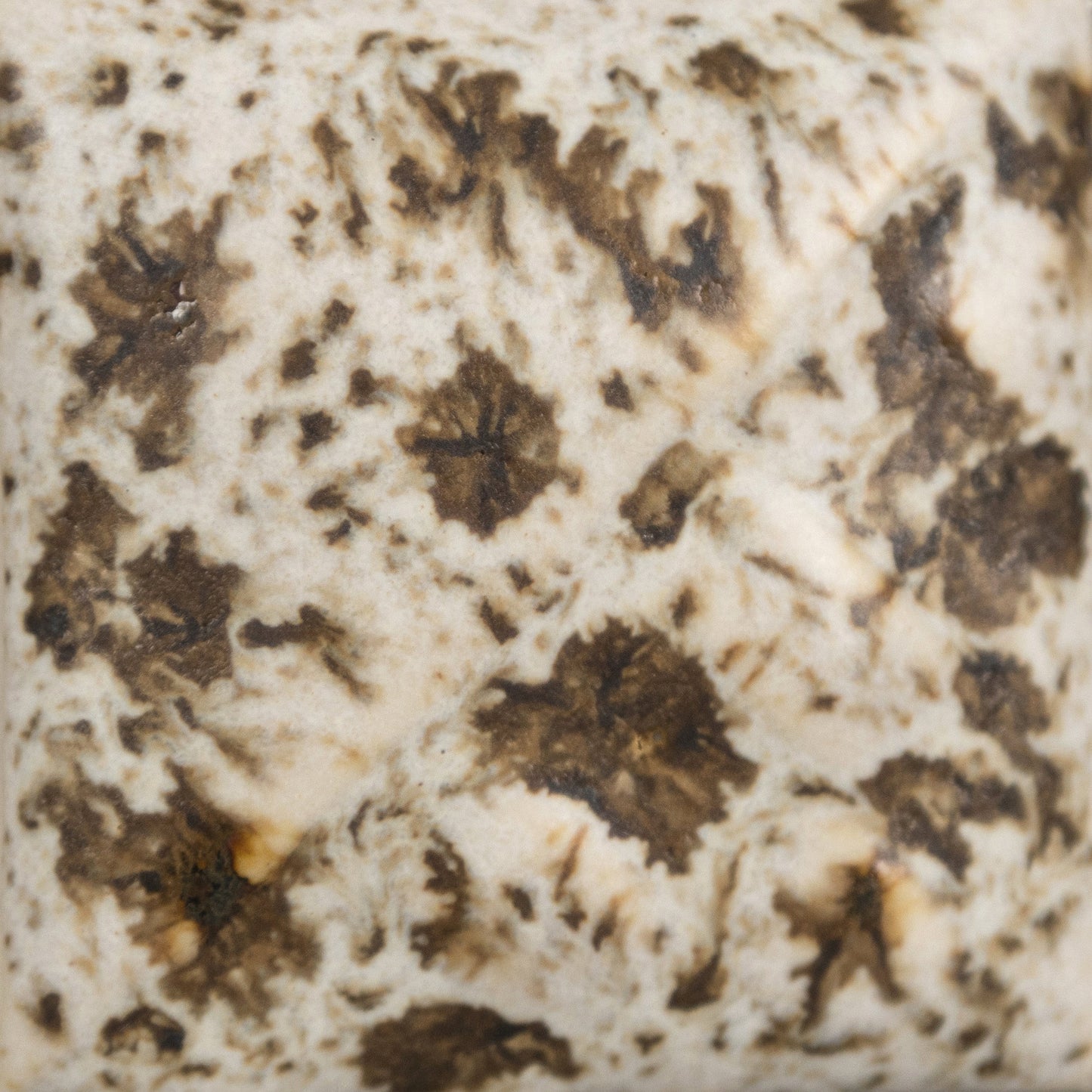 MAYCO Stoneware Crystal Glaze - SW-155 Winter Wood - 冬木 (16oz)