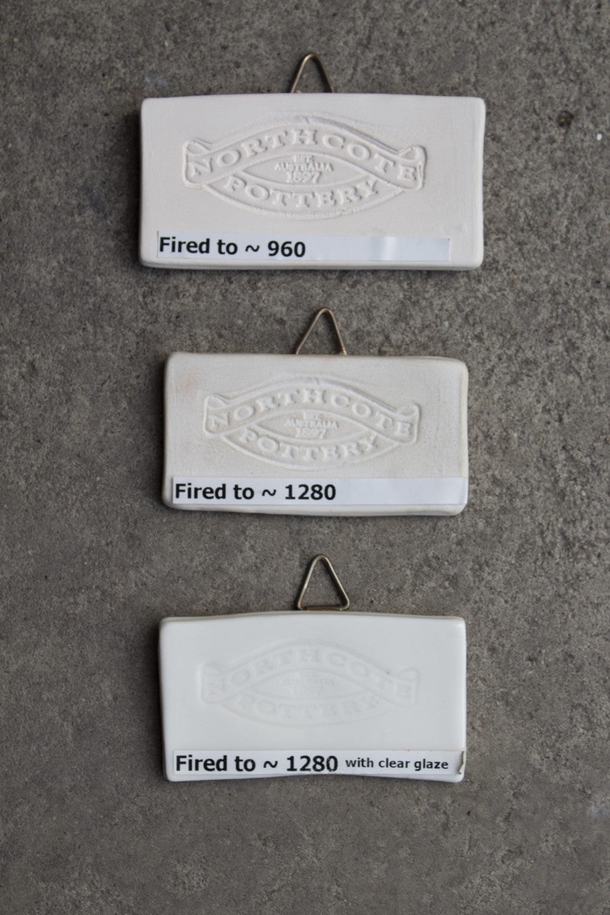 Clayworks - Southern Ice Porcelain Clay