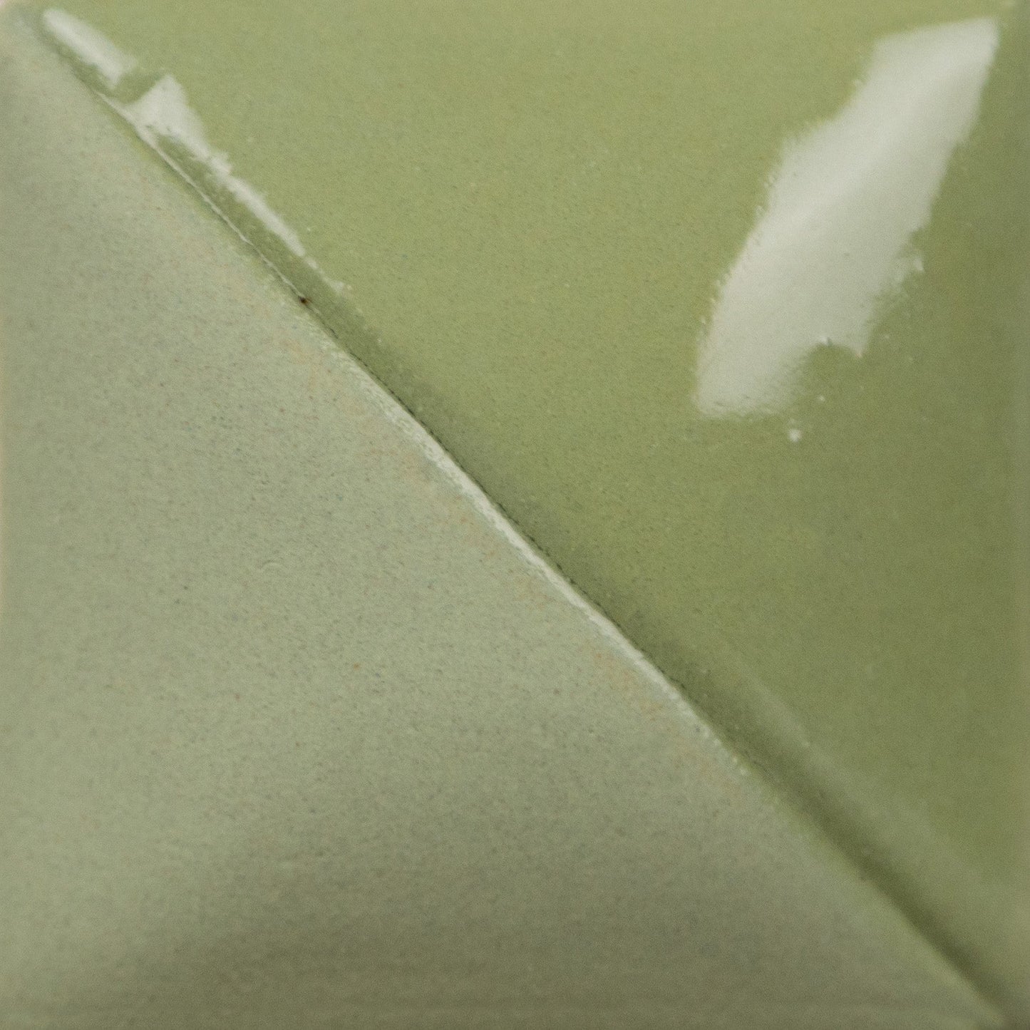 MAYCO Fundamentals Underglaze - UG220 Sage - 鼠尾草釉下彩